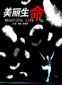 成人午夜免费在线观看